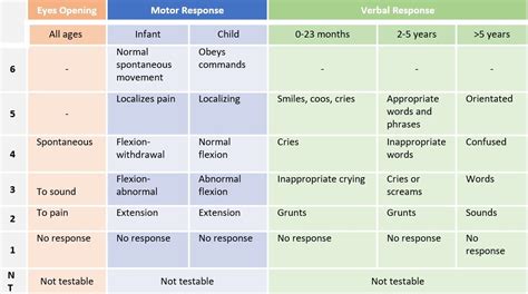 neurological soft signs test|neurological disorder 1 year old.